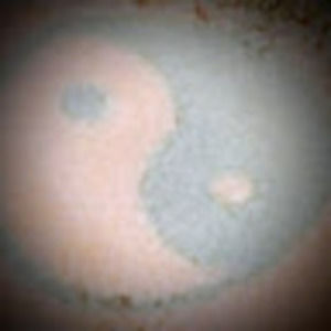 Meet your Posher, Danny